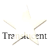 Star_2146Ivory.jpg