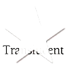 Star_7138White.jpg