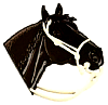 Sculpted_Horse.jpg